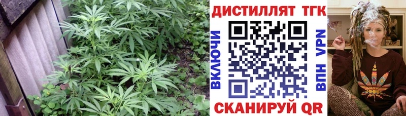 Купить закладки  Зеленоградск  ТГК жижа 