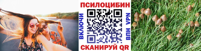 Псилоцибиновые грибы прущие грибы  Купить где  Зеленоградск 