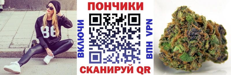 Шишки марихуана SATIVA & INDICA  Купить закладки  Зеленоградск 